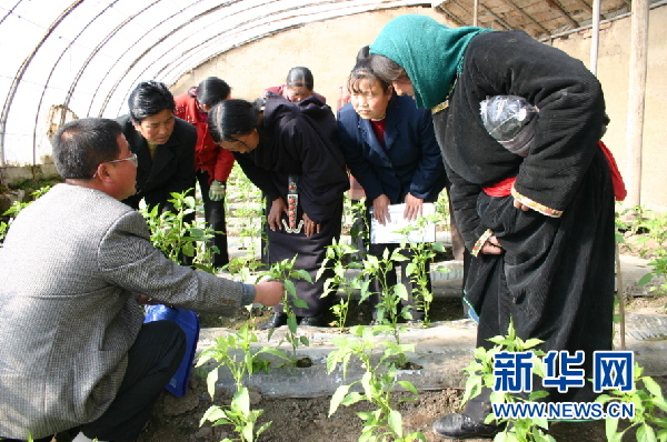 博拉村委会最新动态报道