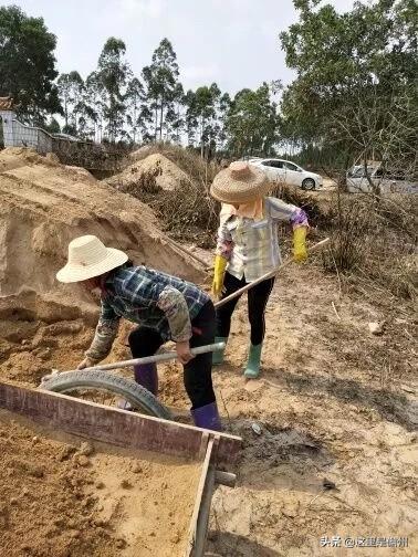 儋州市民政局加强社会救助体系建设，深化为民服务举措获最新报道