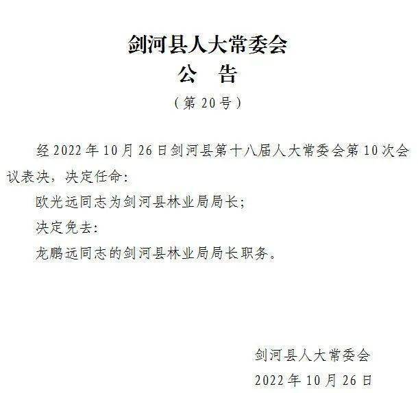 梨河镇最新人事任命动态深度解析