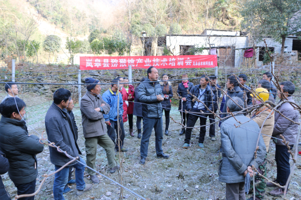 不能长久就别让我拥有 第2页