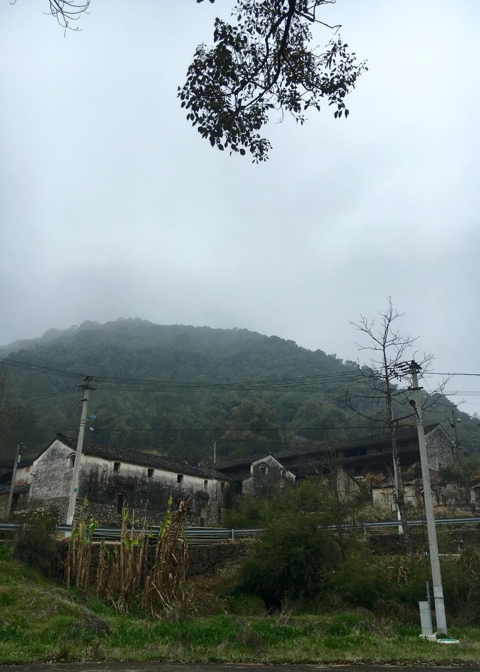 鸳鸯村天气预报更新