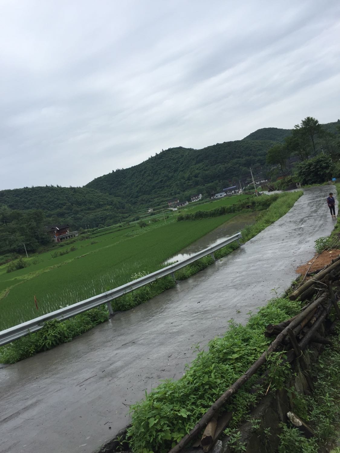 上格色村天气预报更新