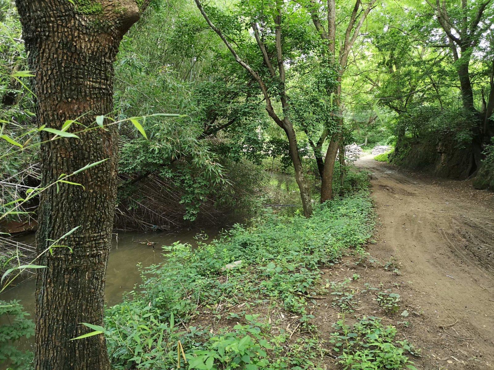 吴窑镇新任领导团队，引领地方发展的核心力量