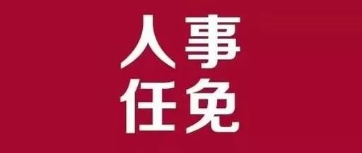 神木县审计局人事任命揭晓，新任领导将带来哪些影响？