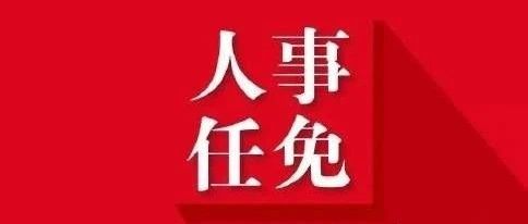 邯郸市人事局最新人事任命，推动城市发展的新一轮人才战略布局