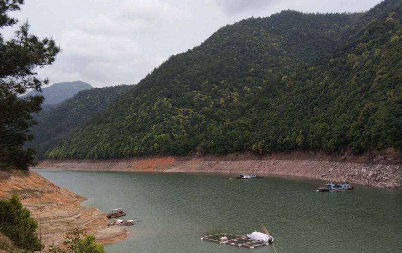 钓鱼乡重塑乡村魅力，引领生态旅游新潮流项目启动