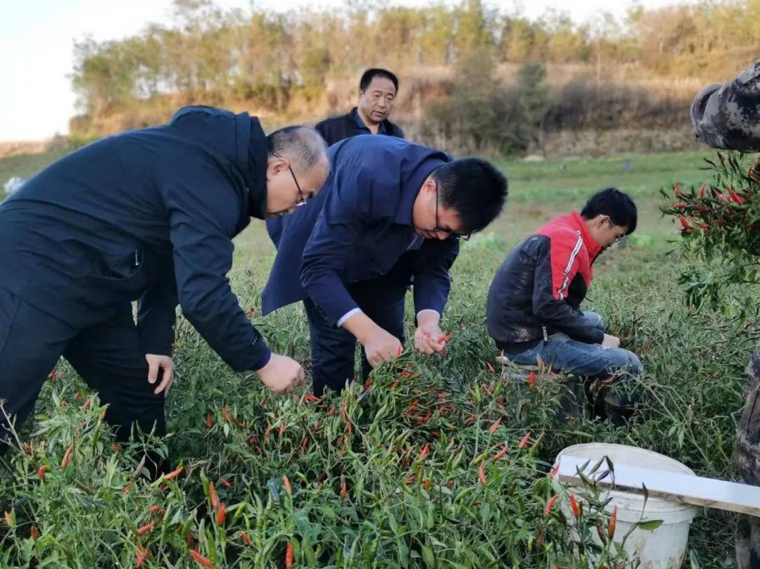 山西省长治市沁县松村乡发展规划纲要揭晓