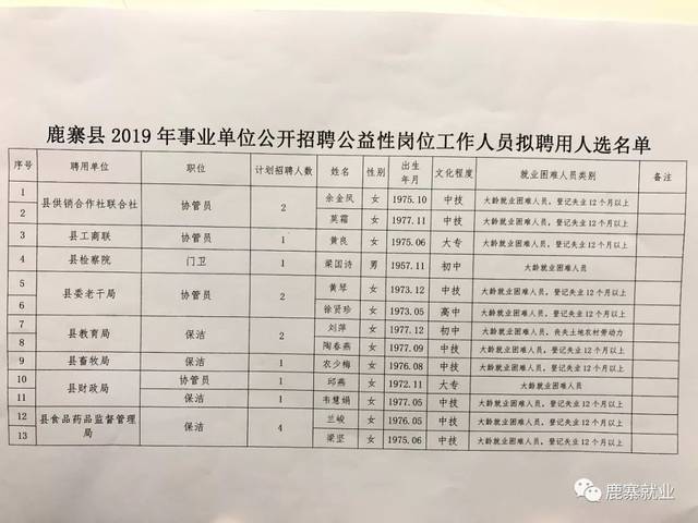 鹿寨县人民政府办公室最新招聘公告解读