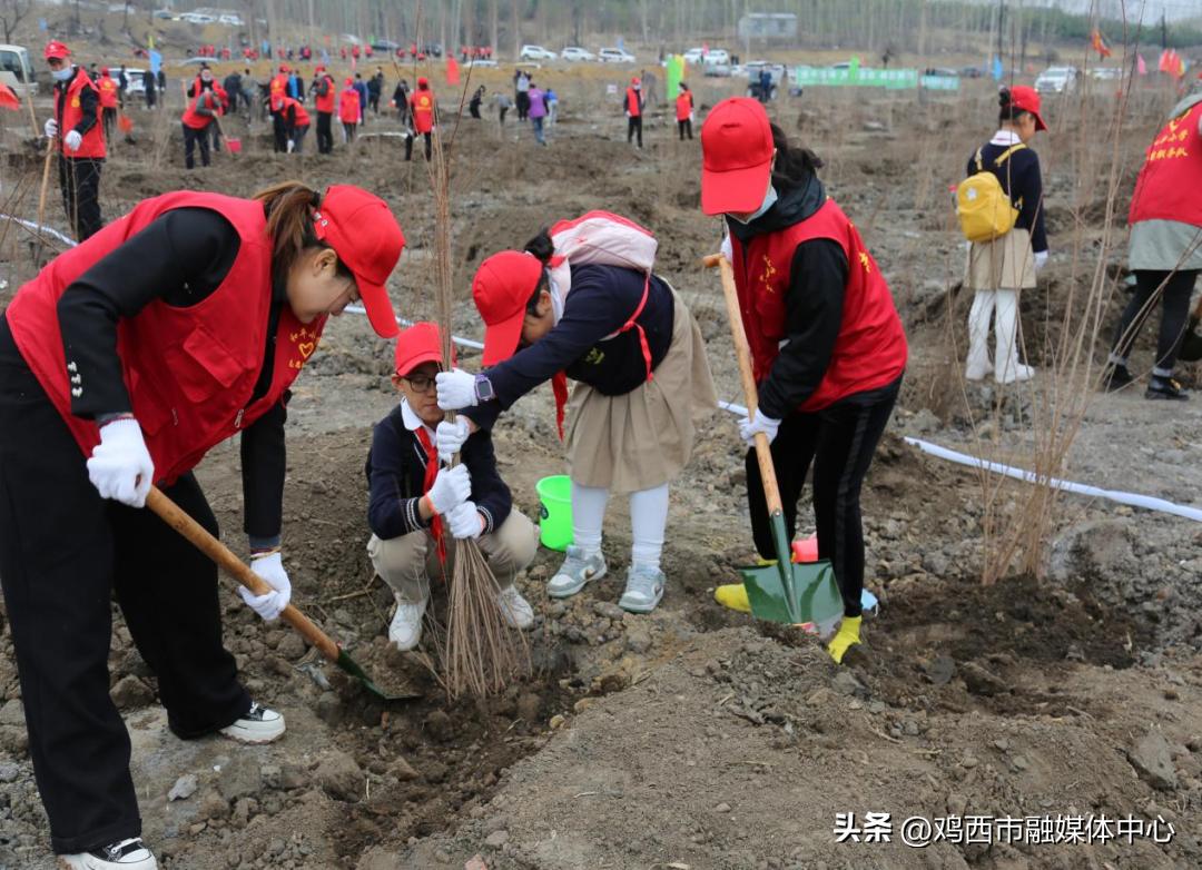 鸡西市园林管理局发布最新动态