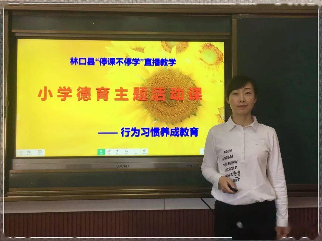 林口县小学领导最新概览