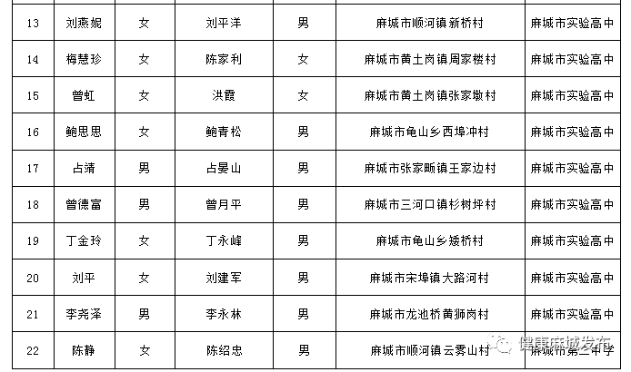 麻城市卫生健康局人事任命揭晓，塑造未来医疗新篇章