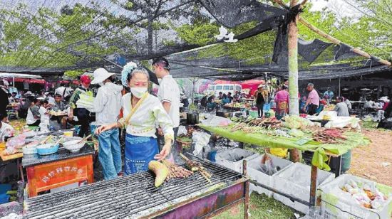 勐旺乡新项目引领地区发展开启崭新篇章