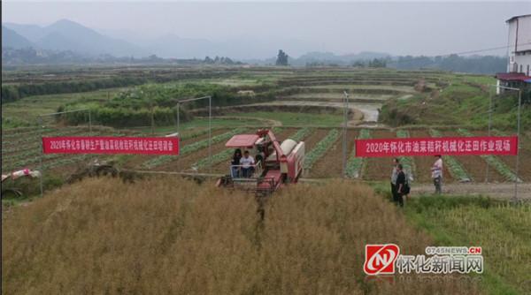 龙头庵乡新项目，地区发展的强大引擎力量