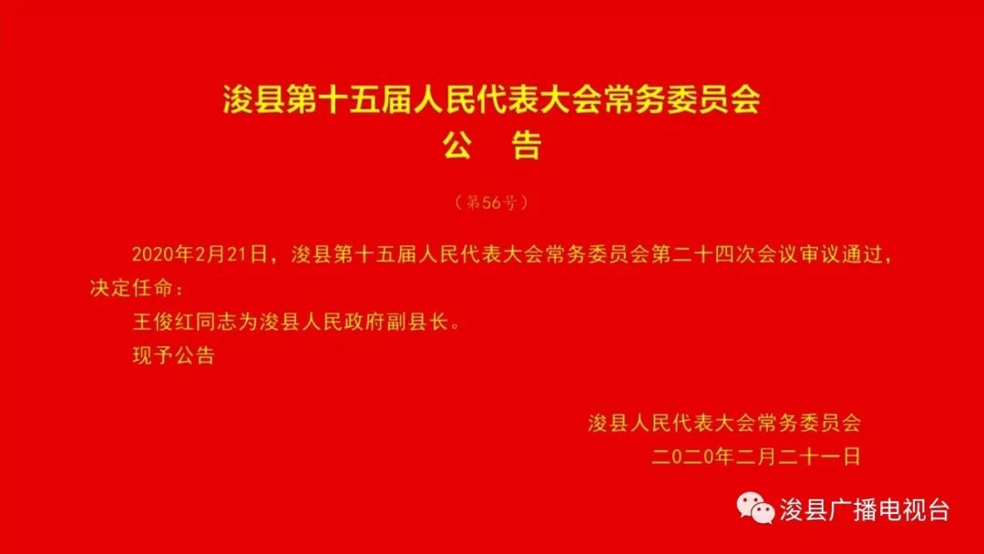 长葛市人民政府办公室最新人事任命，城市发展的新篇章开启的人事调整