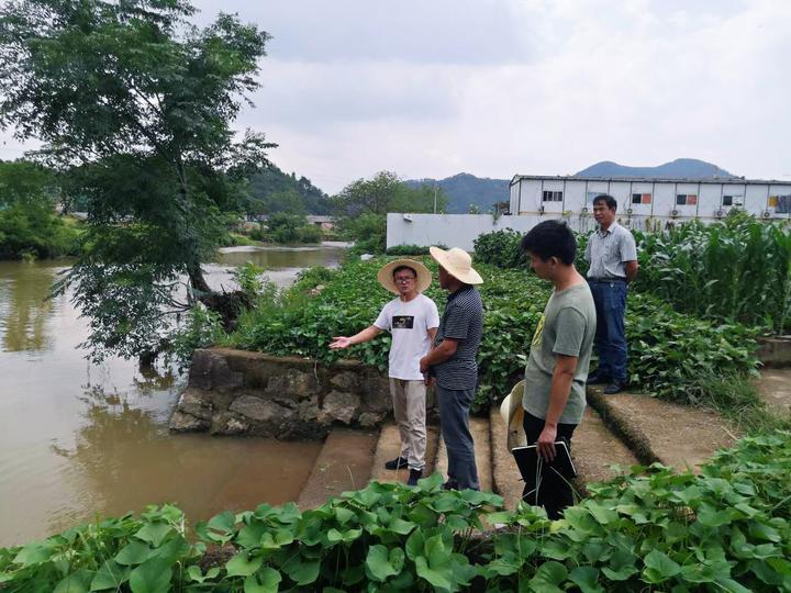 诸暨市水利局新项目推动水利建设，助力城市蓬勃发展