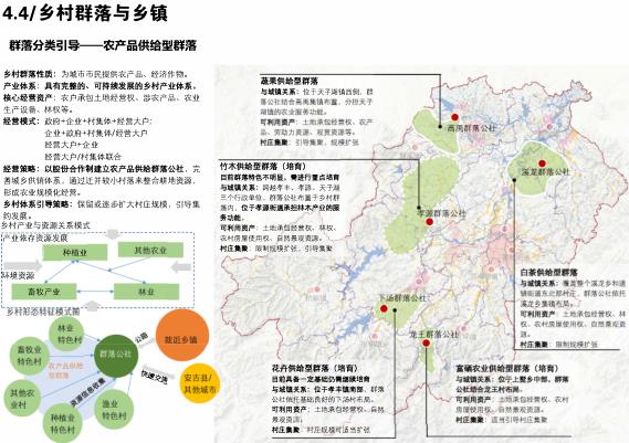 2024年12月23日 第10页