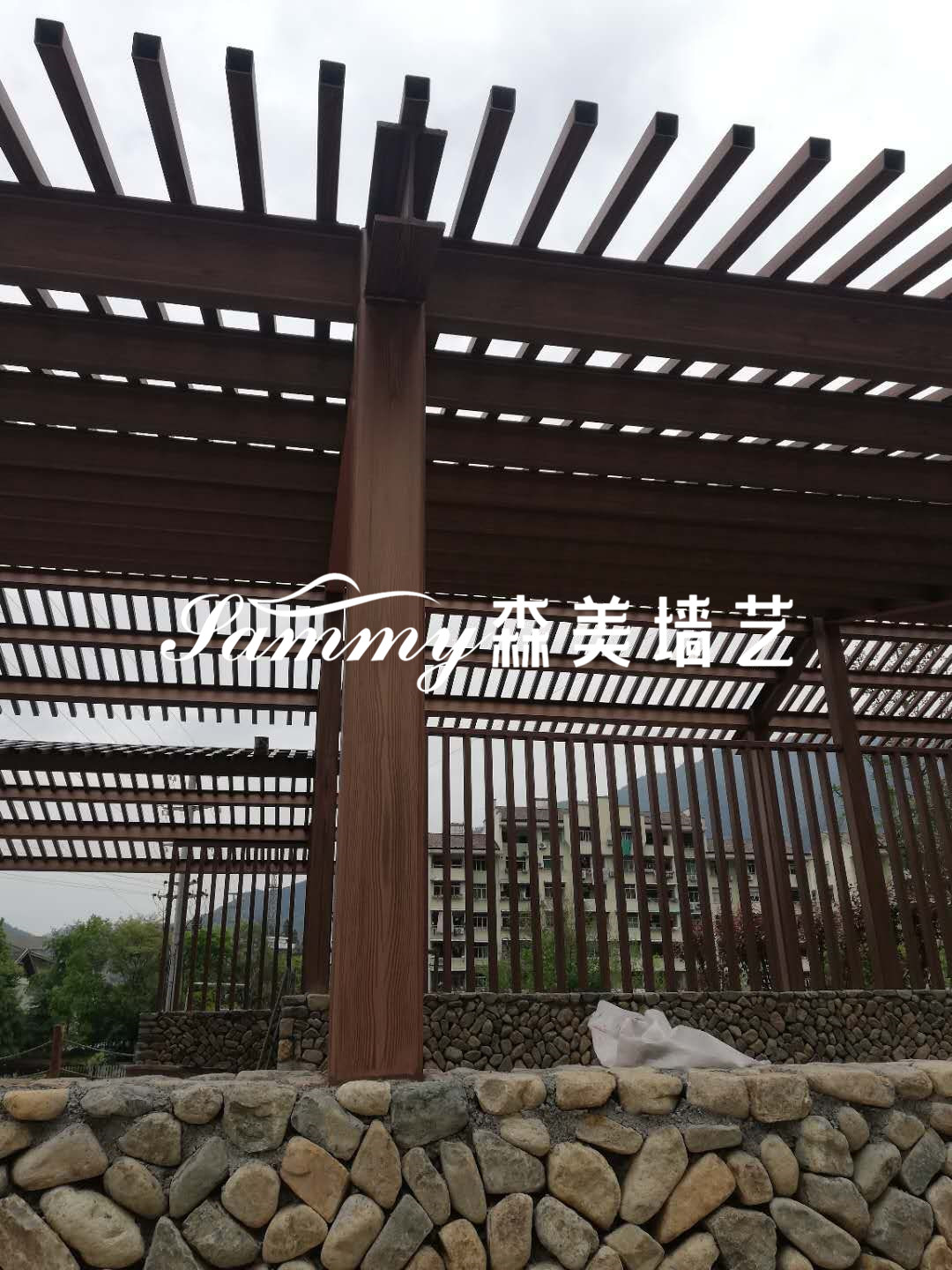 景宁畲族自治县体育馆新领导团队，引领变革，砥砺前行之力