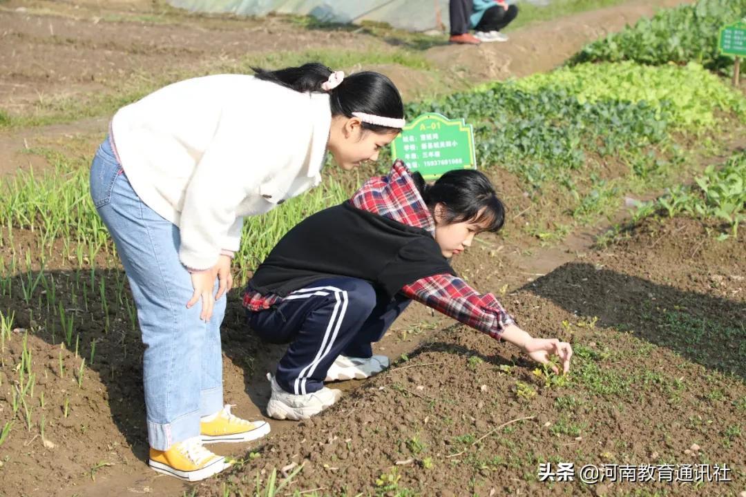 新县小学最新资讯简报