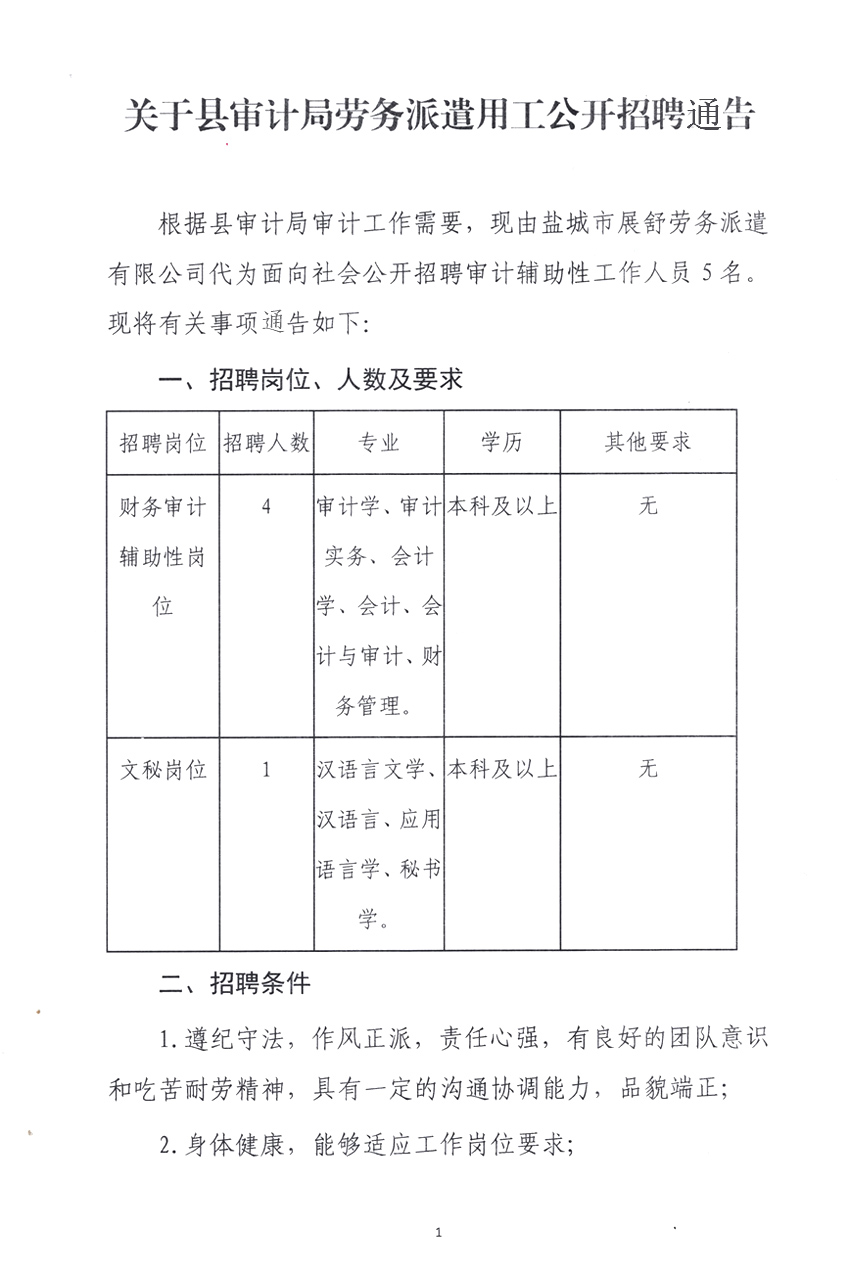 卢氏县审计局招聘启事发布