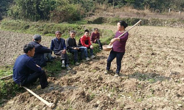 新民社区优化交通网络，提升居民出行体验最新报道