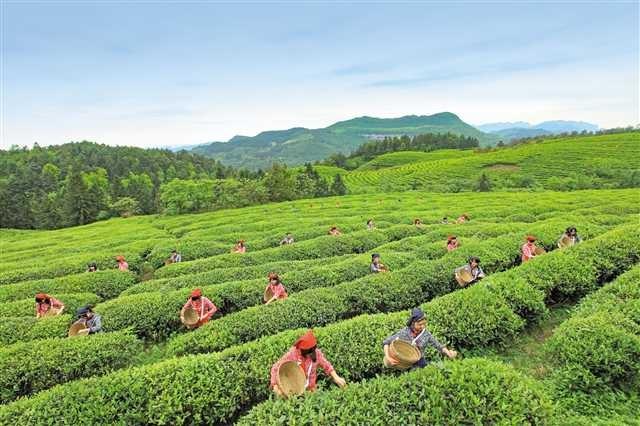 武隆喀斯特旅游区票价详解，天生三桥、仙女山与芙蓉洞探险之旅攻略