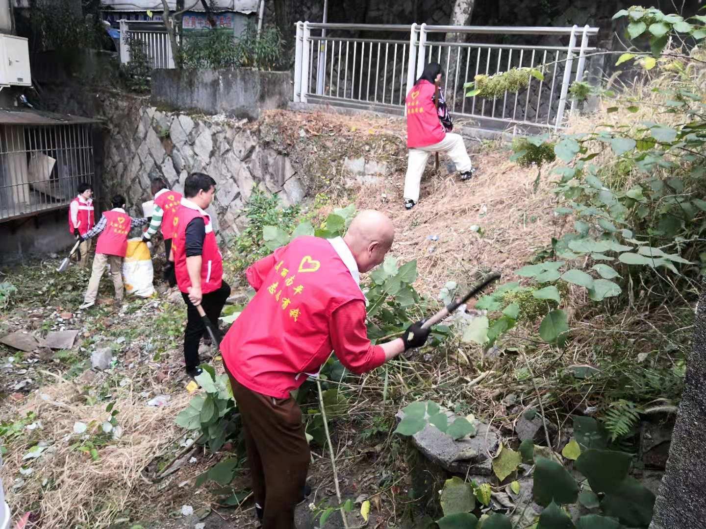 六十坪村委会乡村振兴与社区发展典范项目启动